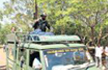 Tiger on Belagavi VTU campus triggers panic